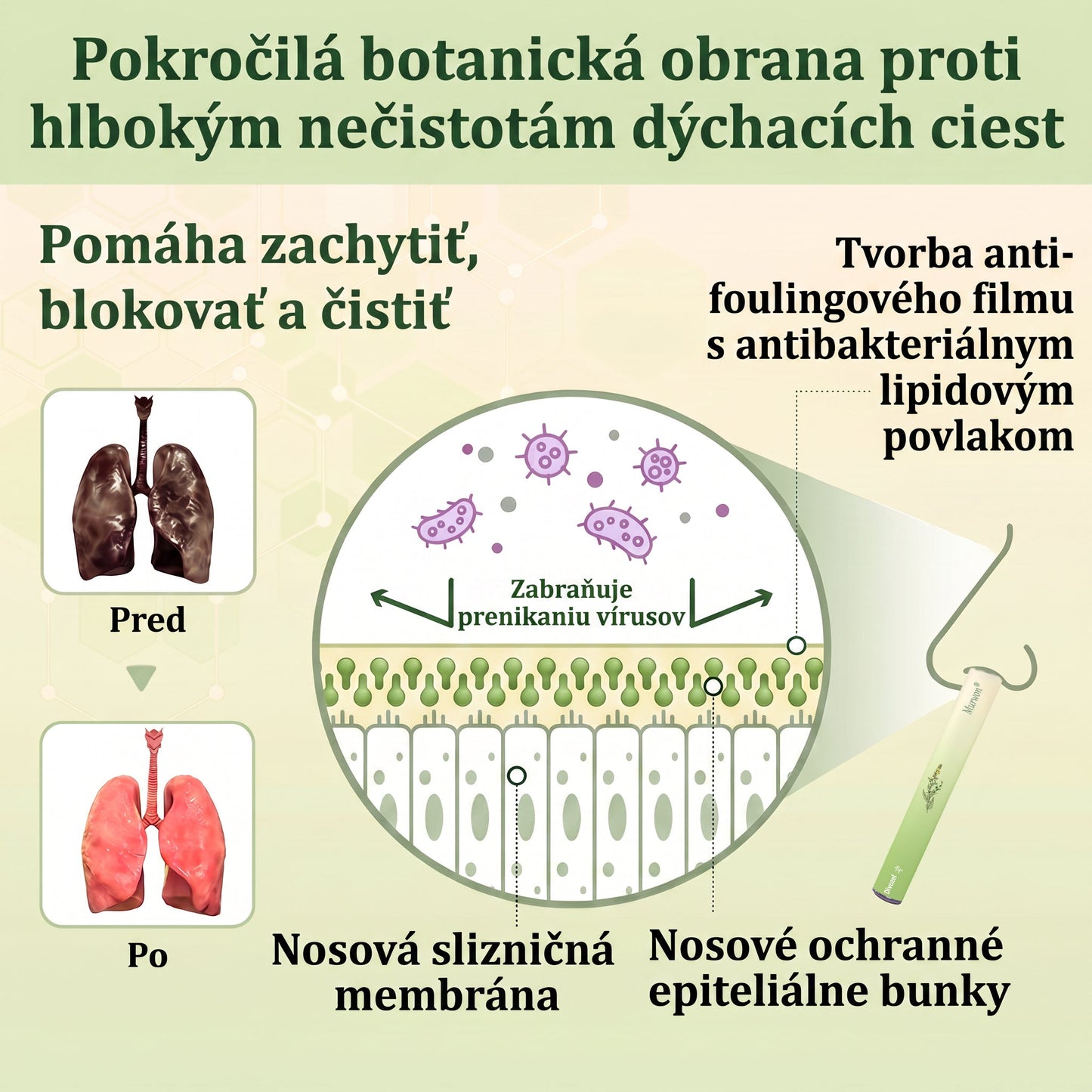 🇸🇰 Vysoko kvalitný slovenský výrobok s doručením v rámci krajiny 🏠 Murwon® bylinný inhalátor na čistenie pľúc 🍏 (👨‍⚕️ Účinná pomoc: kašeľ, zápal hrtana, krátenie dychu, hlieny, ucpaný nos, bronchitída, alergické príznaky a pľúcne ťažkosti) ❤️